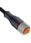 lumberg automation cable 5 pines